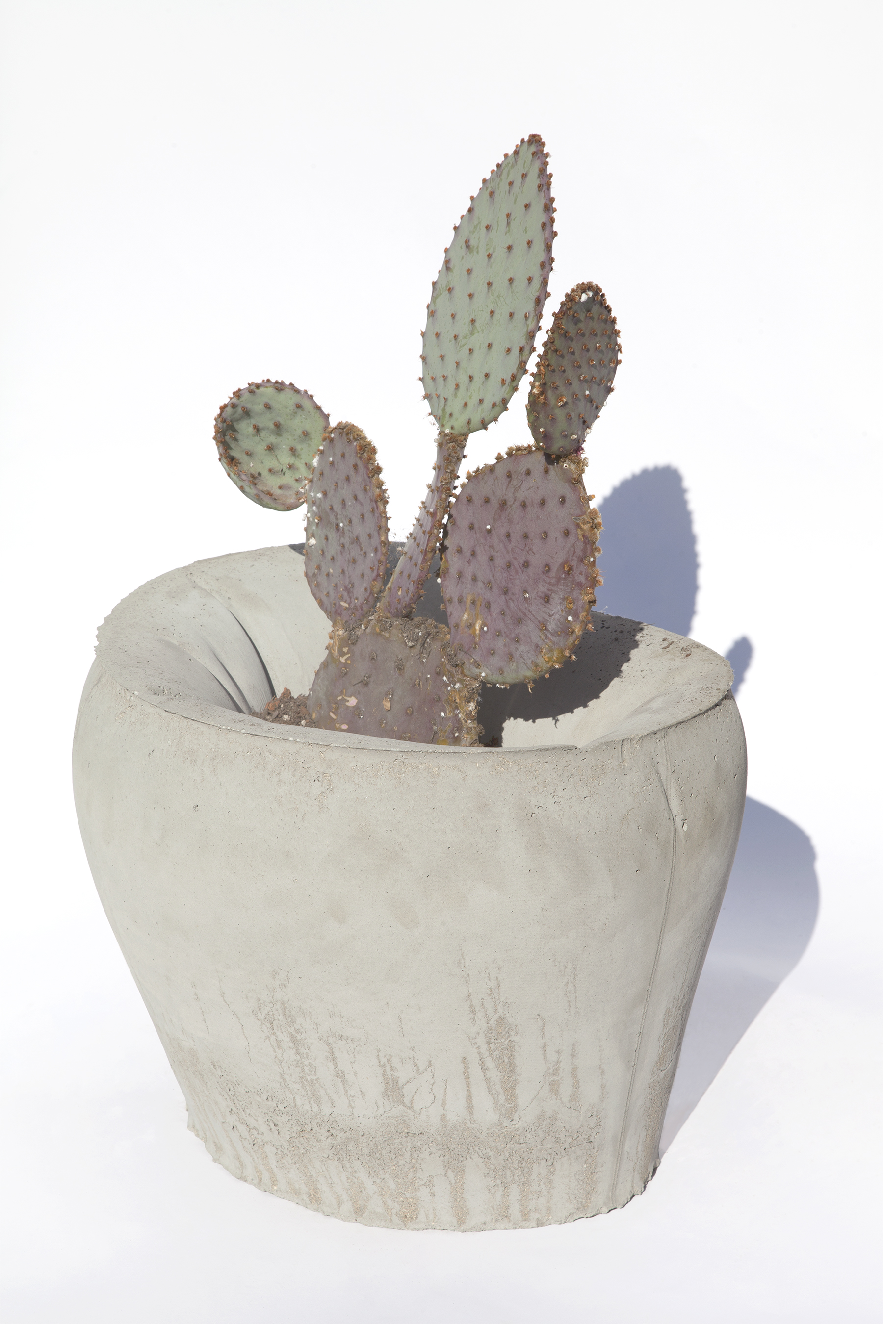 Thomas Burns Object Permanence Succulent Planter