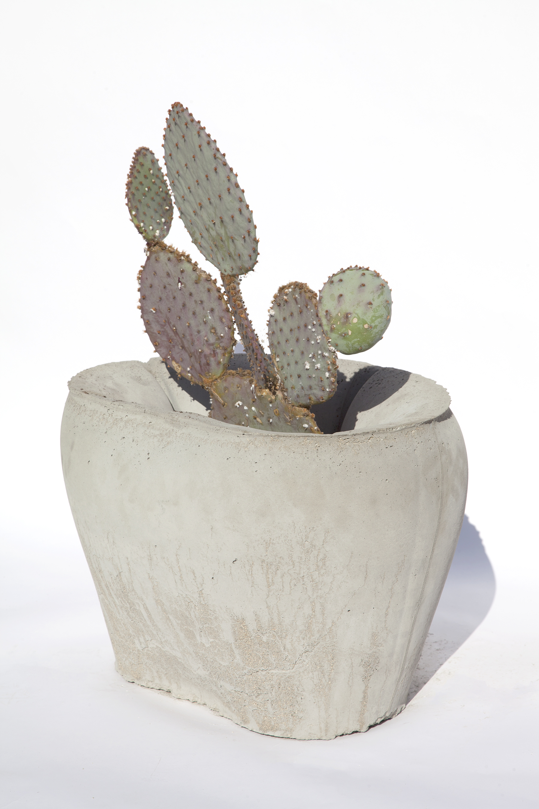 Thomas Burns Object Permanence Succulent Planter